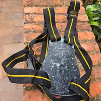 Schienalino pescasub