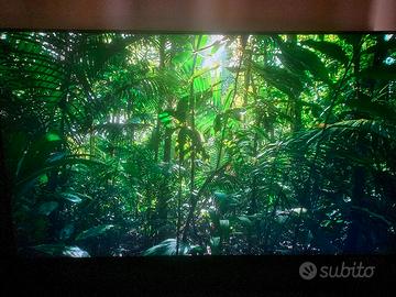TV LG 75''  + Soundbar