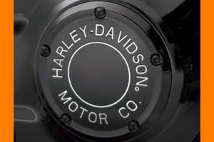 COPERCHIO FRIZIONE H-D SOFTAIL DYNA