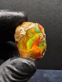 Opale Welo Etiope 50,95 ct Grezzo Naturale 
