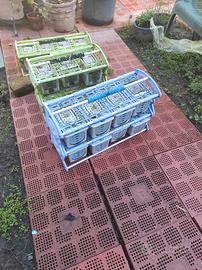 Trasportini Modulari Uccelli S.T.A. Soluzioni Usat