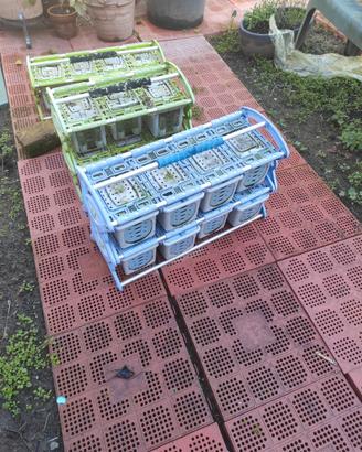 Trasportini Modulari Uccelli S.T.A. Soluzioni Usat