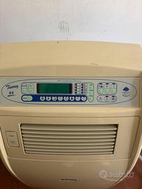 condizionatore portatile 