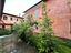 Immagine 7