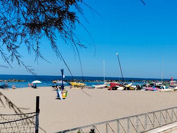 231 Nuova costruzione Montesilvano