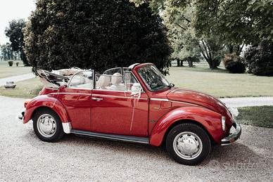 Maggiolino Cabrio (15D11)