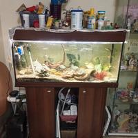 acquario 180 litri.vasca e mobile