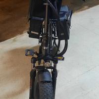 Bad bike 250W