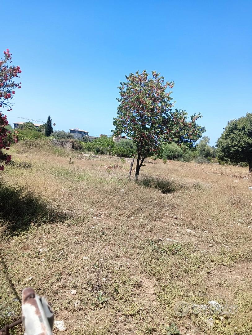 2000 mq di terreno edificabile C1 - Vista 4