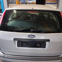 Portellone nudo FORD FOCUS del 2007