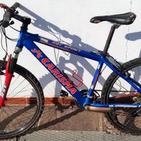 Mountain Bike Professionale con Freni Shimano