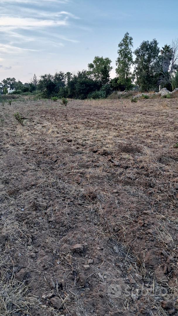 Terreno di 8.400 mq a Frigole (LE) - Vista 2