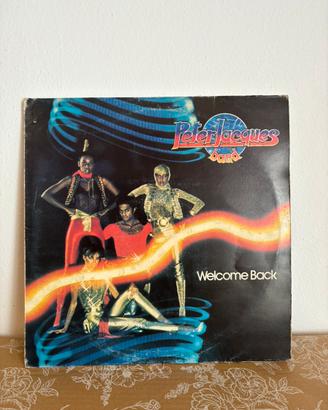 Slot 4 dischi in vinile