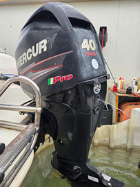 Motore mercurio 40 efi pro