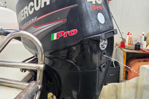 Motore mercurio 40 efi pro