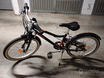 Bici riverside da 20