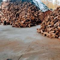 legna da ardere secca 