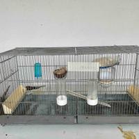 Gabbia per uccelli con accessori