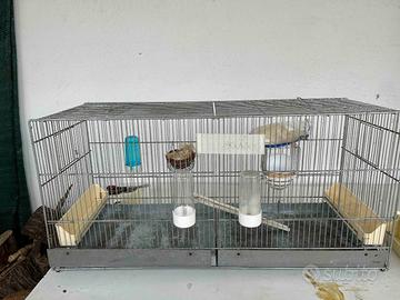 Gabbia per uccelli con accessori