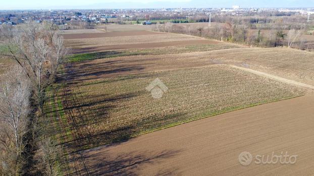 TER. AGRICOLO A CASTELFRANCO VENETO