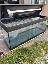 Acquario terrario