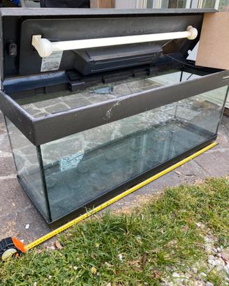 Acquario terrario