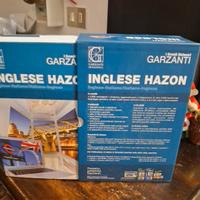 dizionario di inglese garzanti 