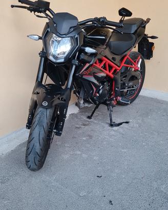benelli bn 125