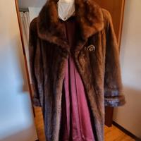 Visone maschio marrone