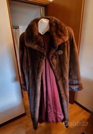 Visone maschio marrone