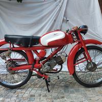 motoguzzi cardellino 