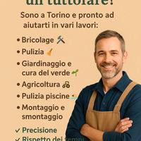 Tuttofare Multiservizi