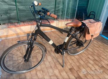 Bicia pedalata assistita Viaveneto