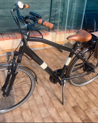 Bicia pedalata assistita Viaveneto