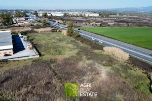 Terreno 3 ettari fronte strada Pontina