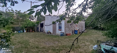 Fabbricato con Vigneto uliveto