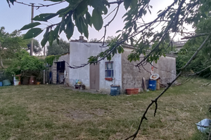 Fabbricato con Vigneto uliveto