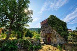 RUSTICO A TAGGIA