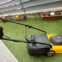 Taglia erba elettrico