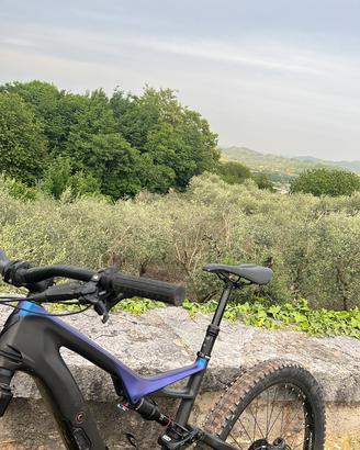 E-bike specialized carbon
