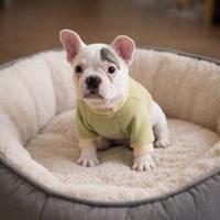 Bulldog bouledogue francese enci