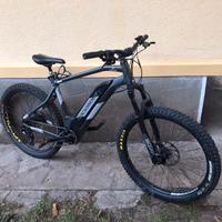 E bike bicicletta elettrica