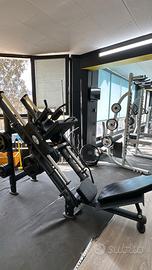 palestra