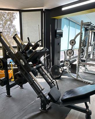 palestra