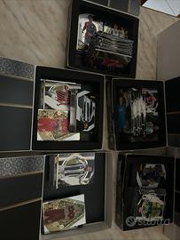 Panini player of the match  misti 2025