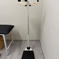 Bilancia seca pesapersone professionale a colonna