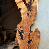 Asse di ulivo Salentino denominata (7)