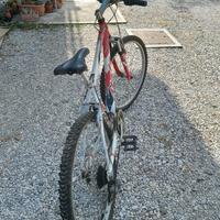 Bicicletta Atala da ragazzo 