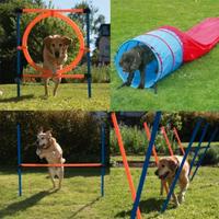 Set agility per cani