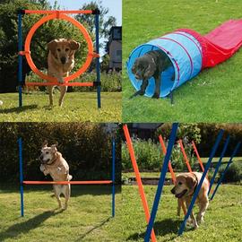 Set agility per cani